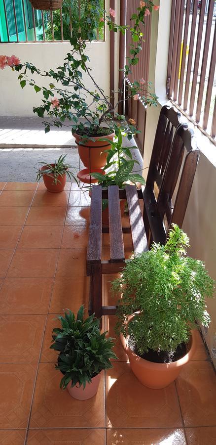 Hostel Dodero Liberia Dış mekan fotoğraf