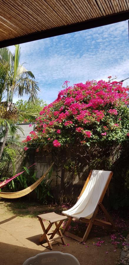 Hostel Dodero Liberia Dış mekan fotoğraf