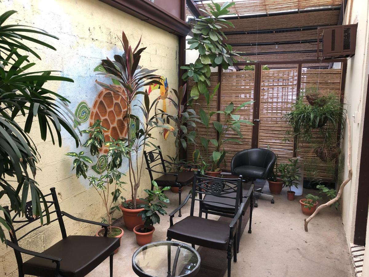 Hostel Dodero Liberia Dış mekan fotoğraf